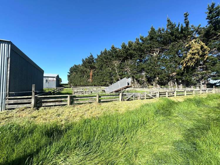 776 Ryal Bush Wallacetown Road Wallacetown_14