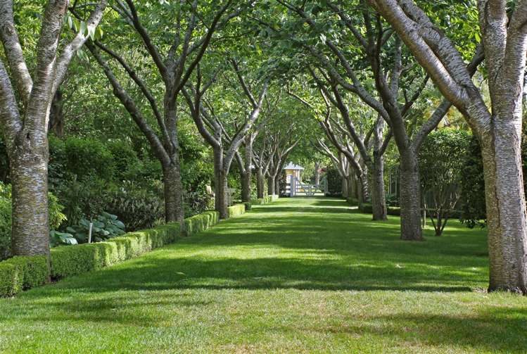 750 Wairakei Road Burnside_11