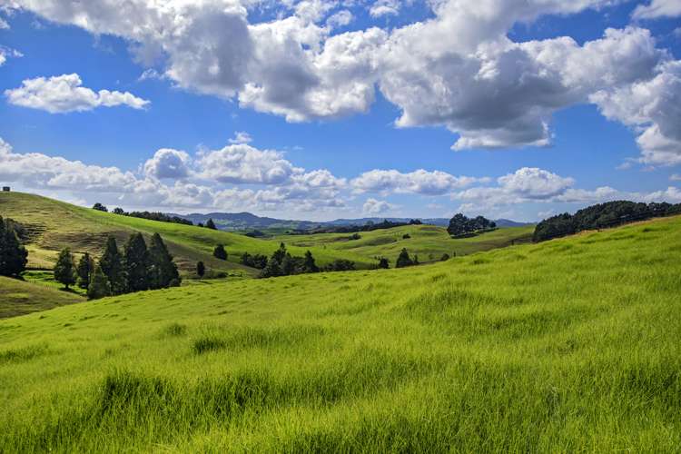 Lot 1 Oetzman Rd Hikurangi Rd2_10