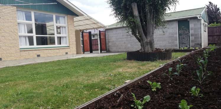 3 Kathleen Crescent Hornby_2