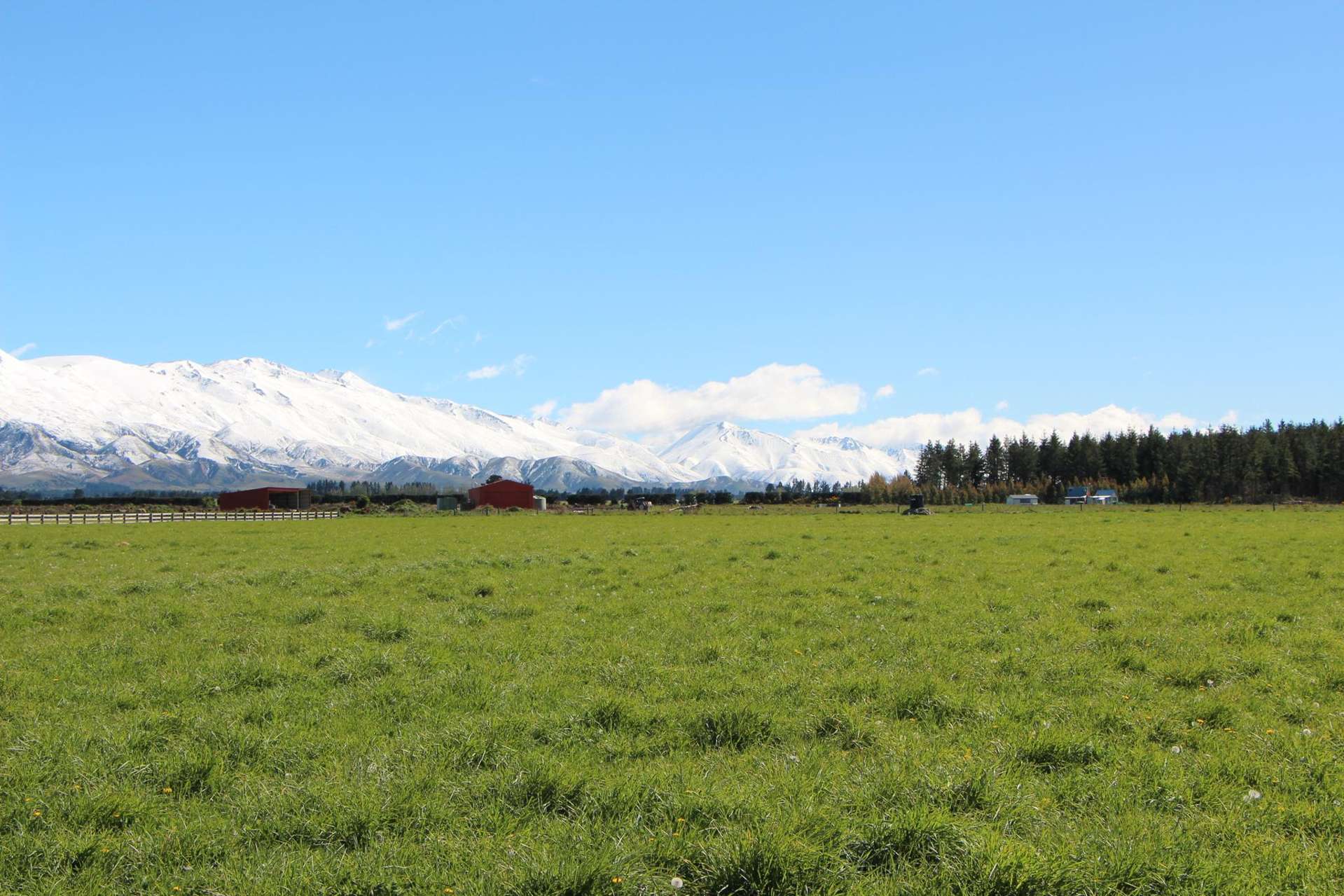 770 Hamilton Road Ashwick Flat_0