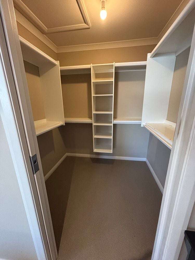 25A Cobham Drive Morrinsville_8