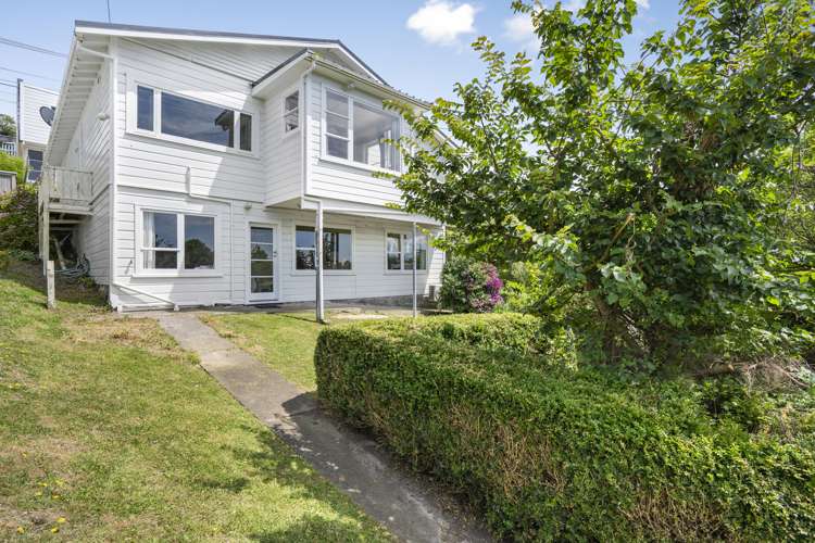 87 Mills Road Brooklyn_25