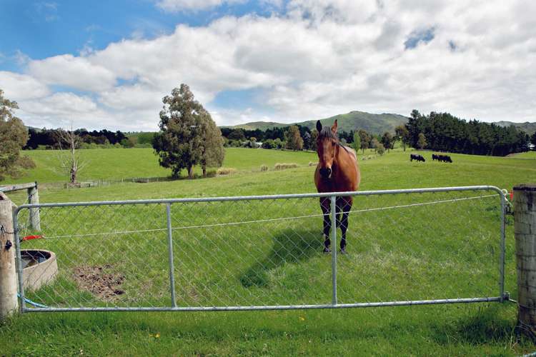 684 Heathstock Road MacDonald Downs_13