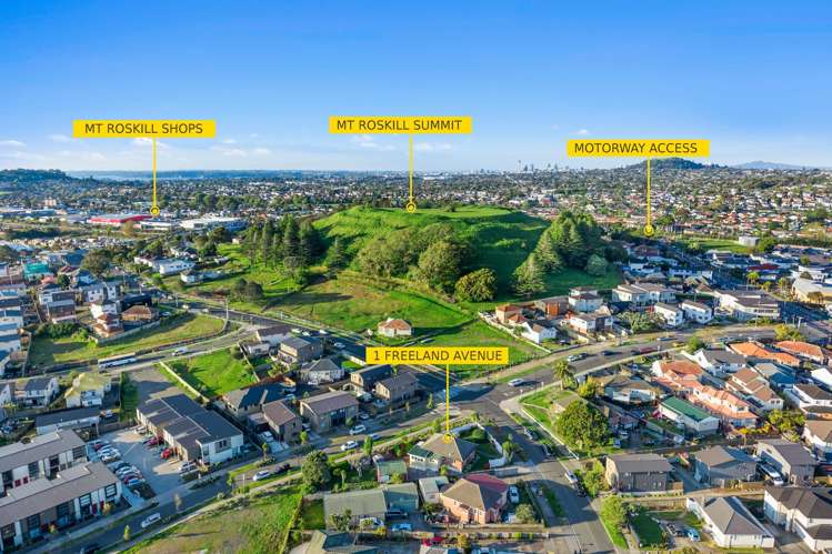 1 Freeland Avenue Mount Roskill_16