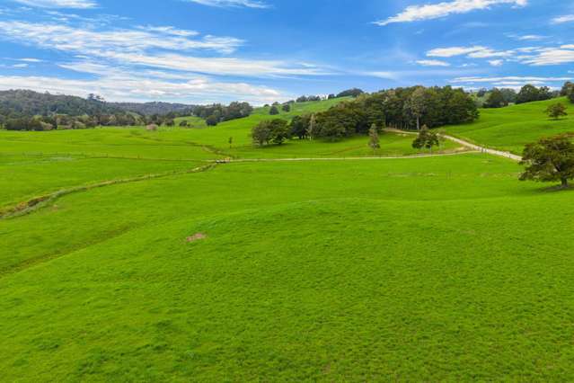 1070 Tangihua Road Maungakaramea_2