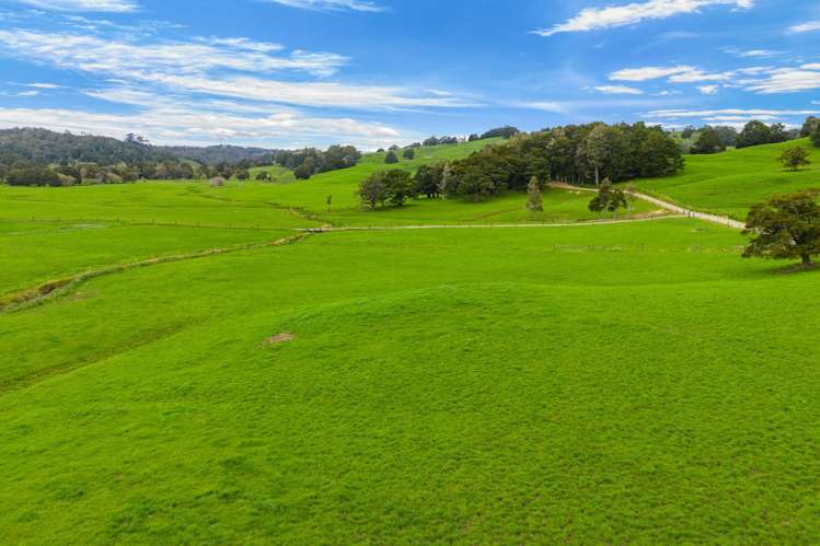 1070 Tangihua Road Maungakaramea_2