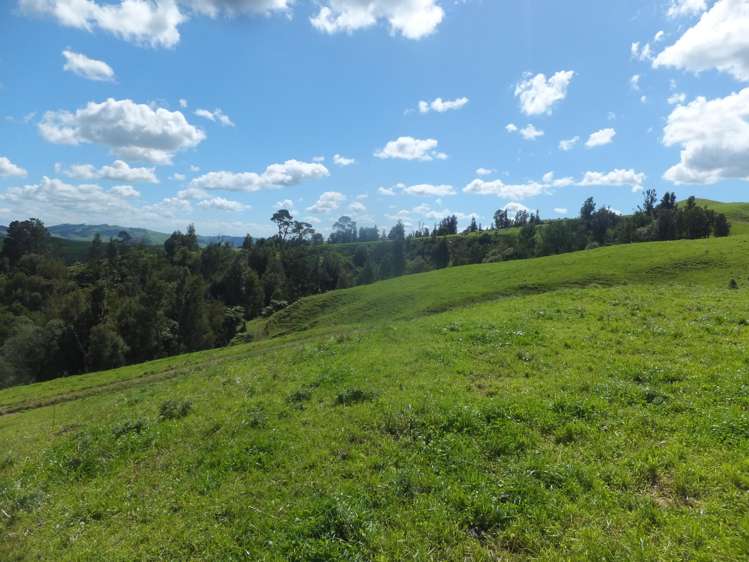 2/1416 Buckland Road Karapiro_6