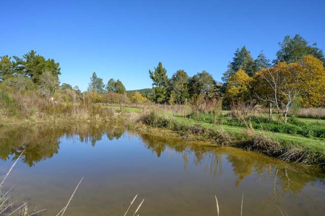 542 Tadmor-Glenhope Road Tadmor_4