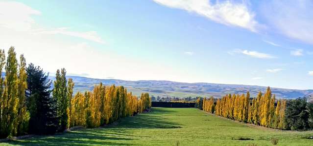 Ettrick Road Roxburgh_2