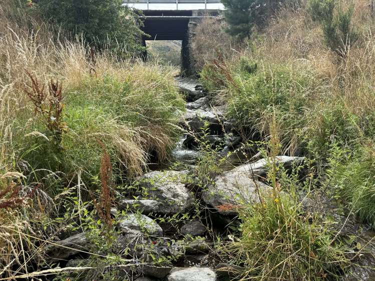 42D Gladsmuir Road Queensberry_28