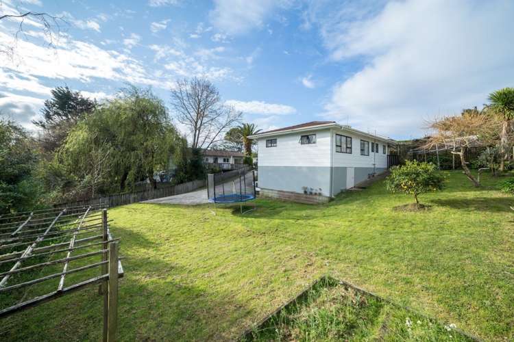 18 Palm Court Drive Glen Eden_5