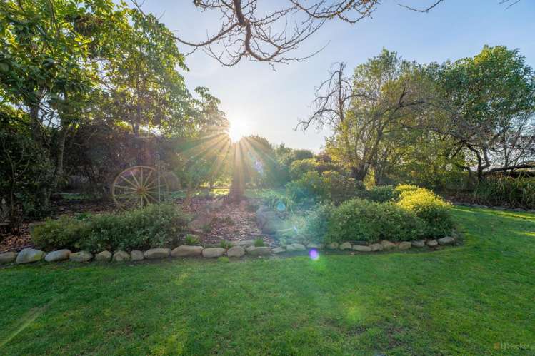 100 Oak Street Orari_19