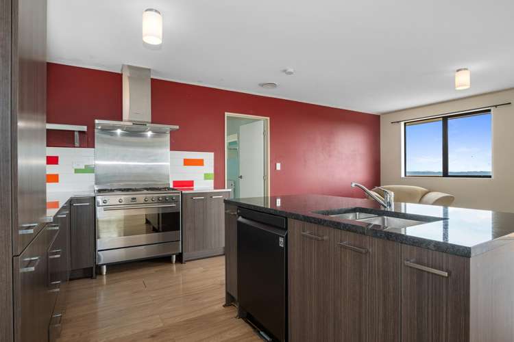 471 Mt Tiger Rd Whareora_8