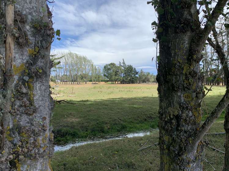 113 Ward Road Cheviot_9