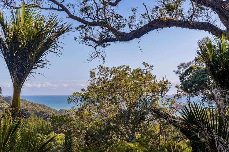 98 Motutara Road Muriwai_23