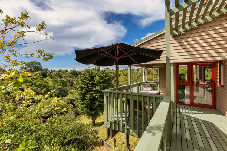 31g Cradock Street Avondale_12