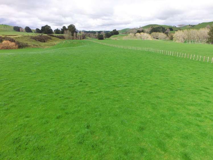 63 Hamilton Road Dannevirke_32