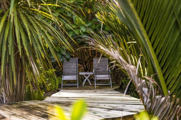 487a Cowan Bay Road Warkworth_22