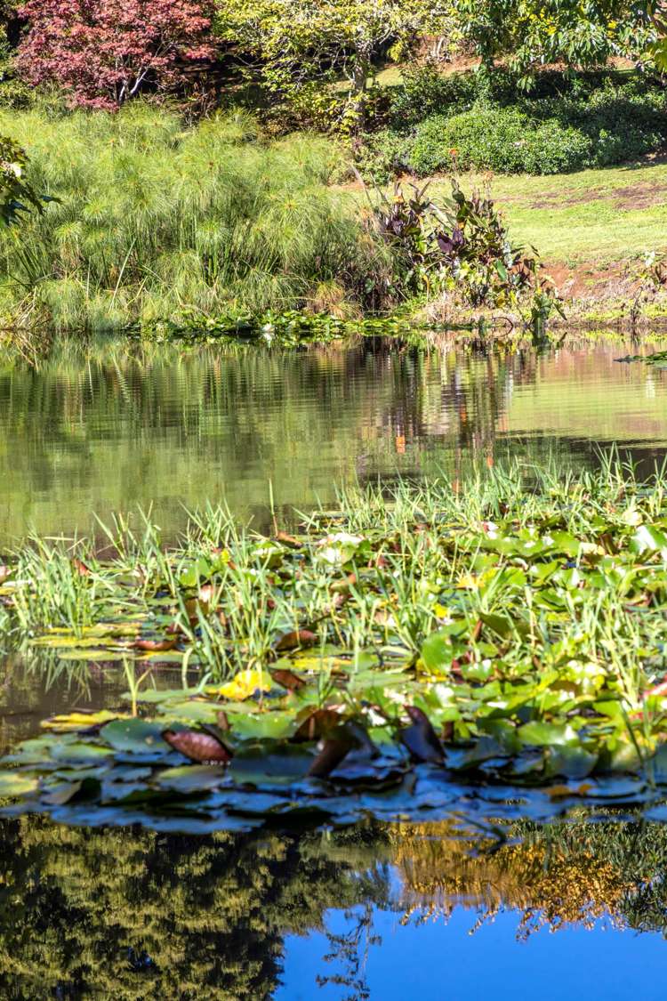 145b Helenslee Road Pokeno_47