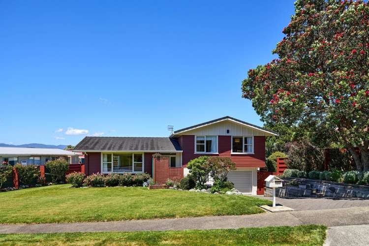 22 Reese Jones Grove Maungaraki_0