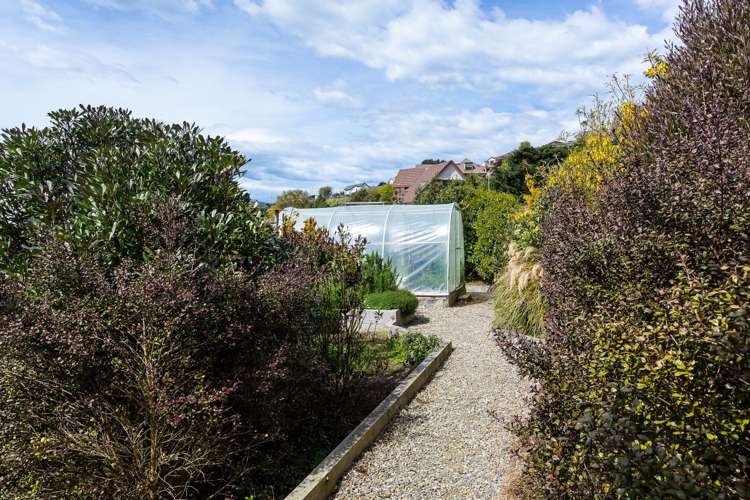 169 Doon Street Waverley_15