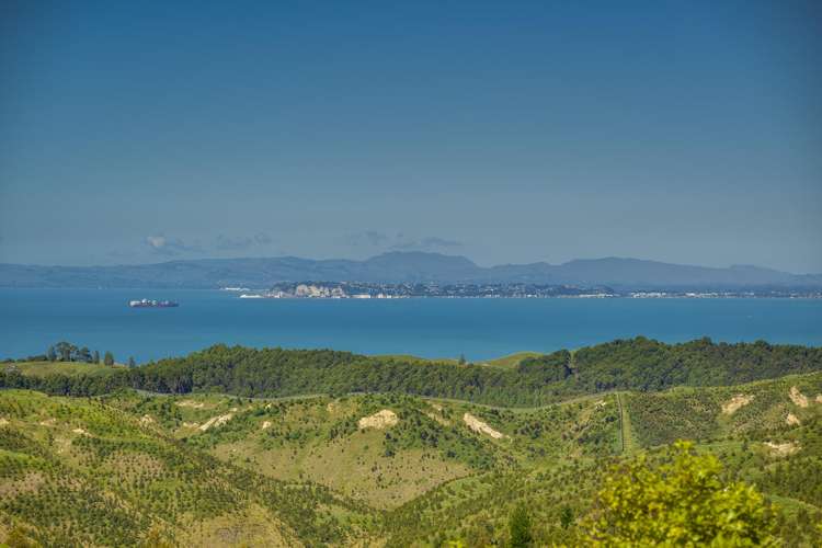 438 Tangoio Settlement Road Tangoio_23