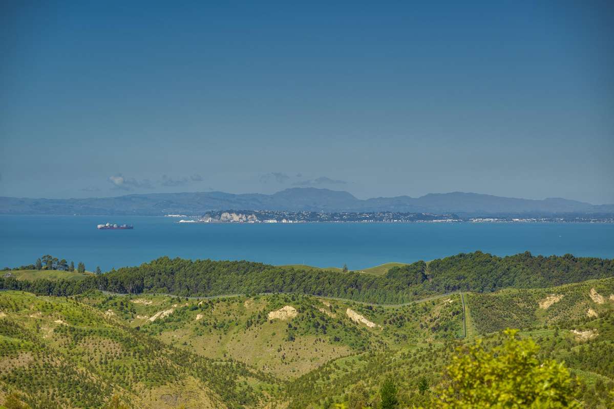 438 Tangoio Settlement Road_1