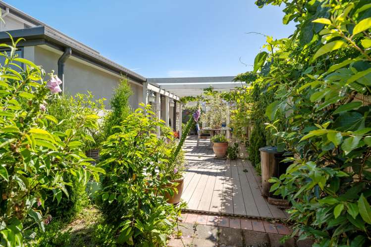 27 Francis Street Blenheim_23