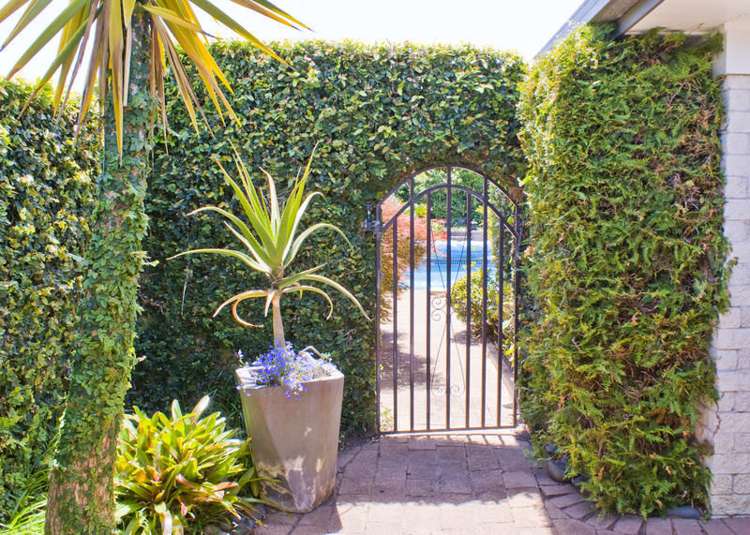 9 Seymour Road Mellons Bay_10