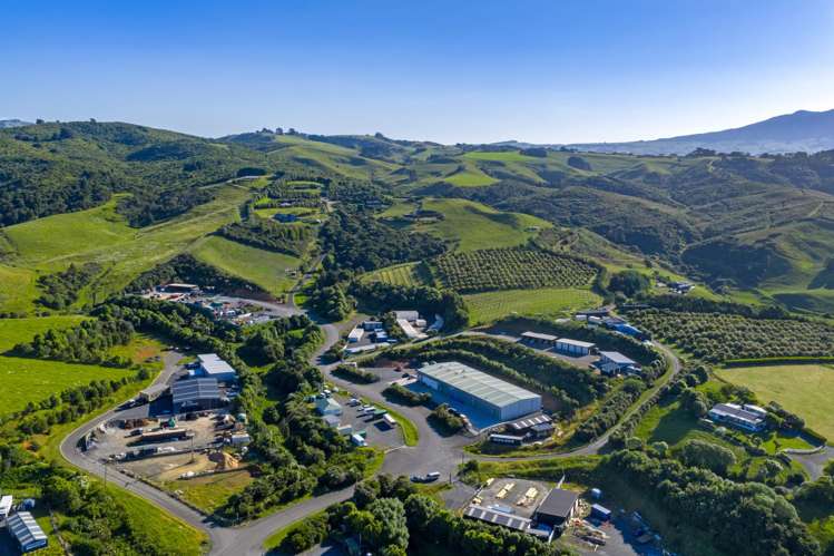 19 Nau Mai Road Raglan_7