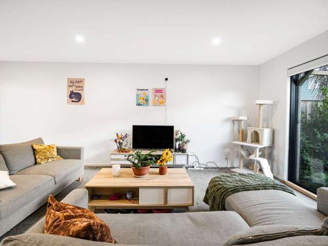 3/25 Hargest Crescent Sydenham_3