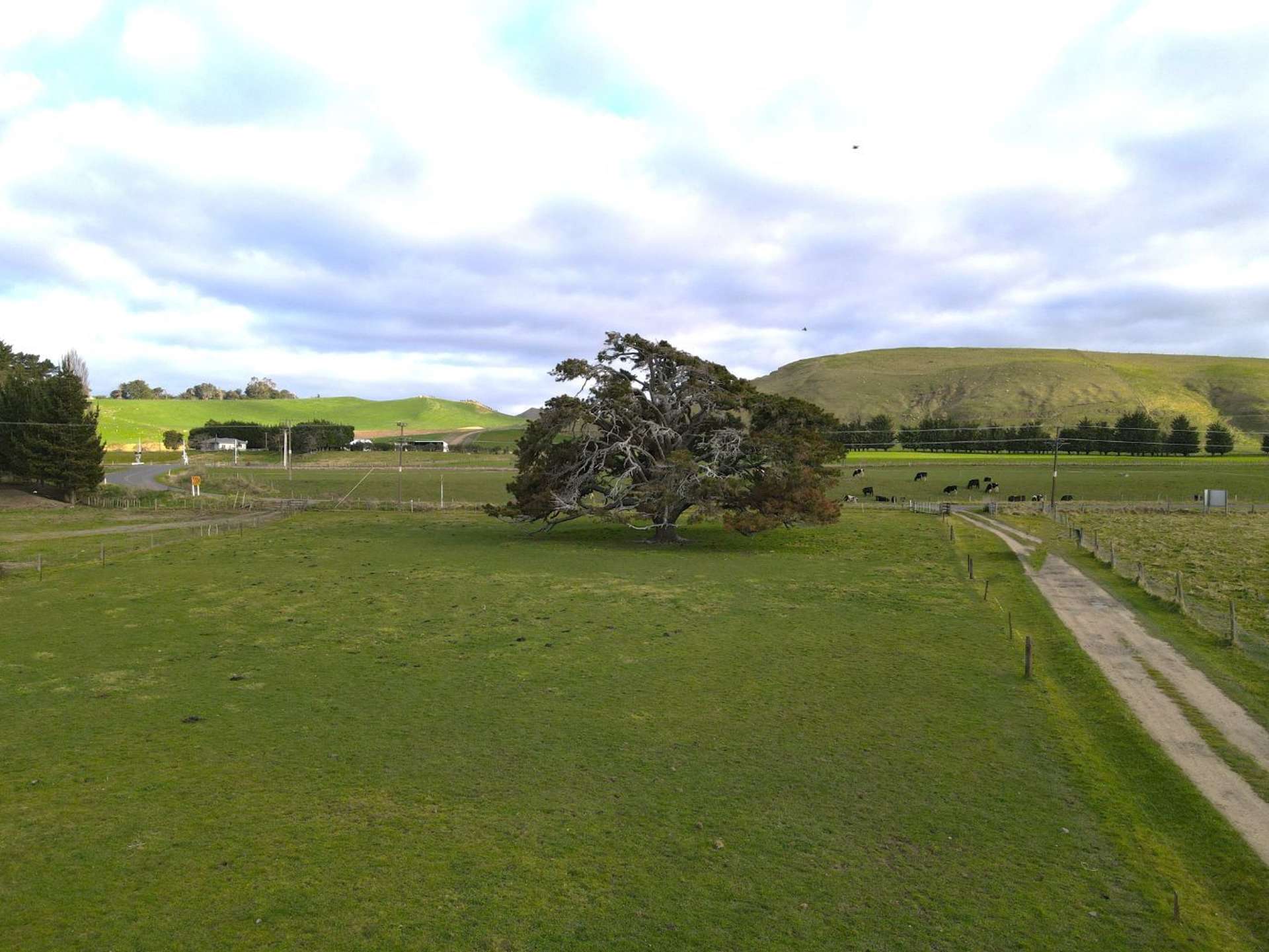 Lot 1/478 Oruawharo Road Takapau_0