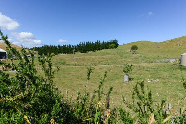 189 Waikareao Road Central Hawkes Bay Coastal_2