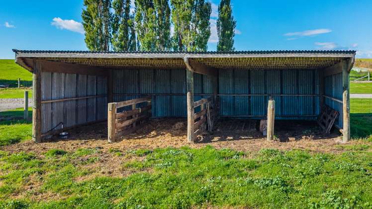 357 Hook School Road Makikihi_22