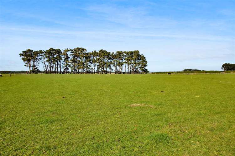 Lot 8,9,11/287 Ngawhini Road Hawera_11