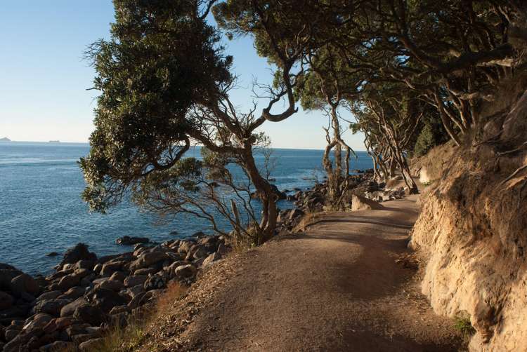 40/281 Maunganui Road Mount Maunganui_18