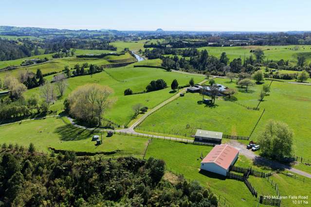 McLaren Falls Road Omanawa_3