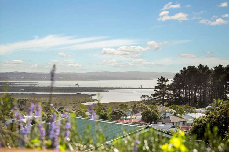 14b Henry Street Avondale_12