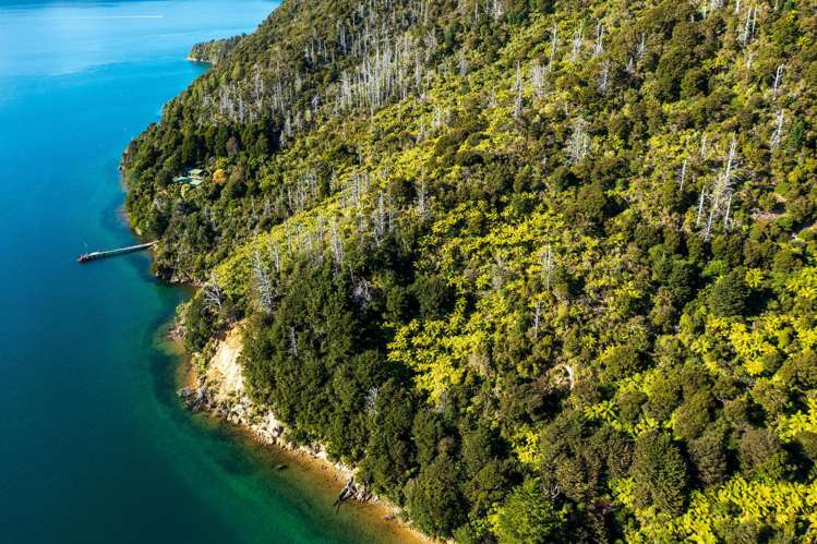 Lot 2 North West Bay Pelorus Sound_20