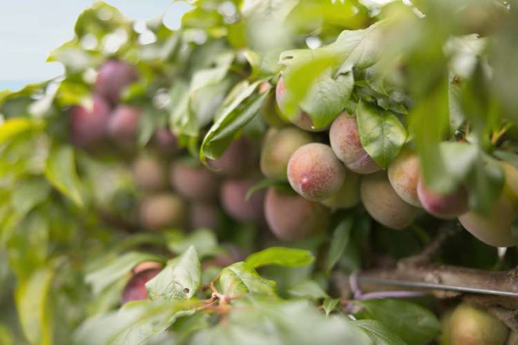 104 Waterside Drive Pyes Pa_34