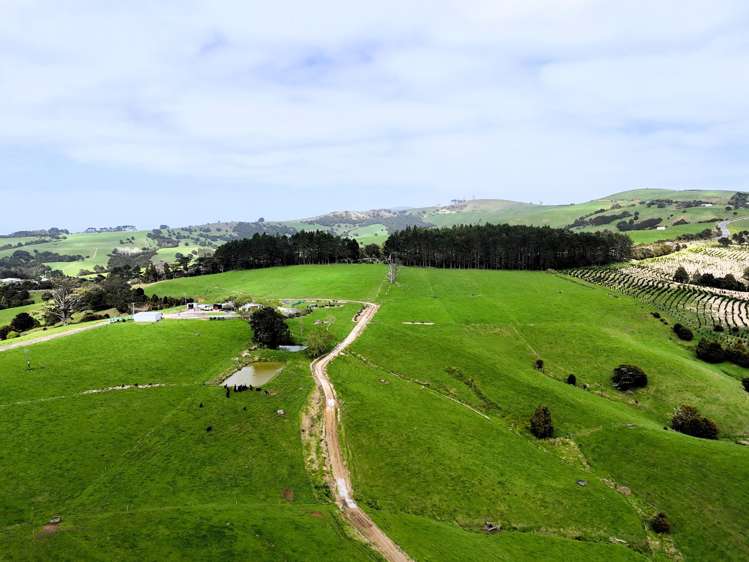 65 Proud Road Dargaville Surrounds_13