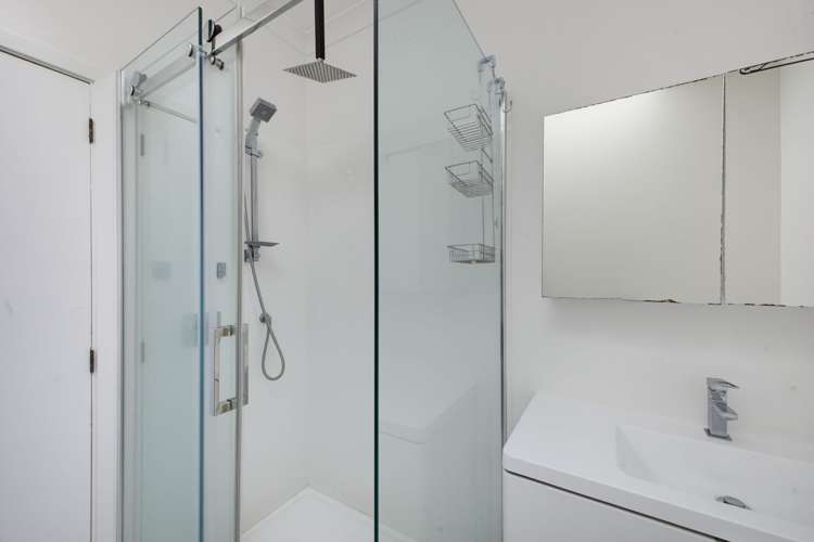 403 Carrington Street Vogeltown_24