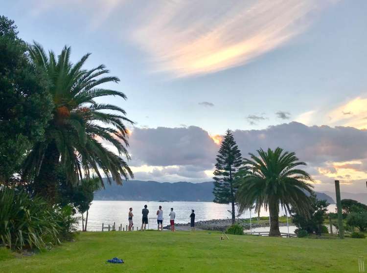 190 Pacific Ocean, Slipper Island (Whakahua) Thames_28