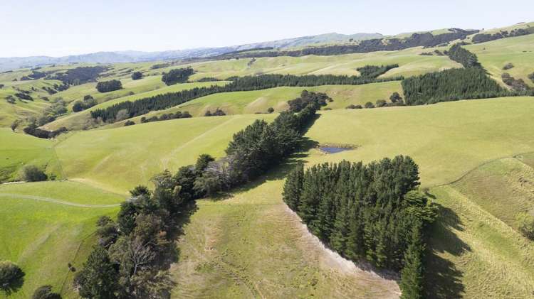 453 Dry River Road Martinborough_9