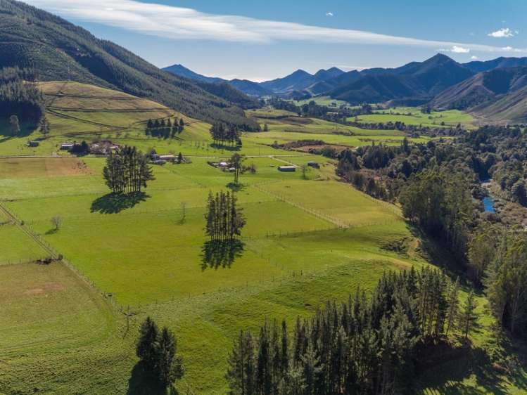 55 Maungatapu Road Rai Valley_8