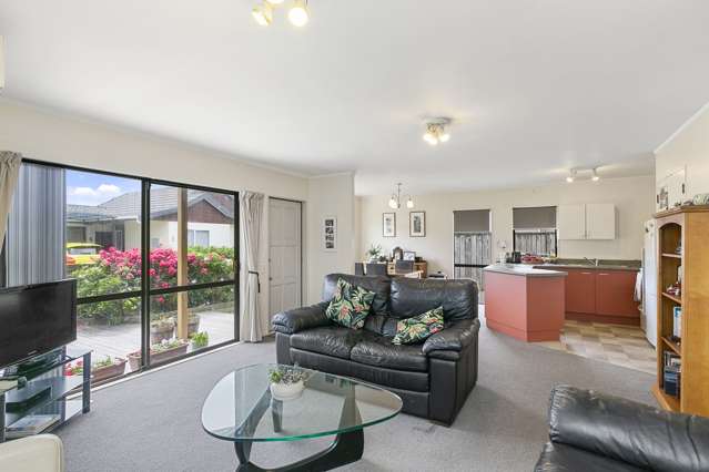 14 Macalister Place Miramar_1