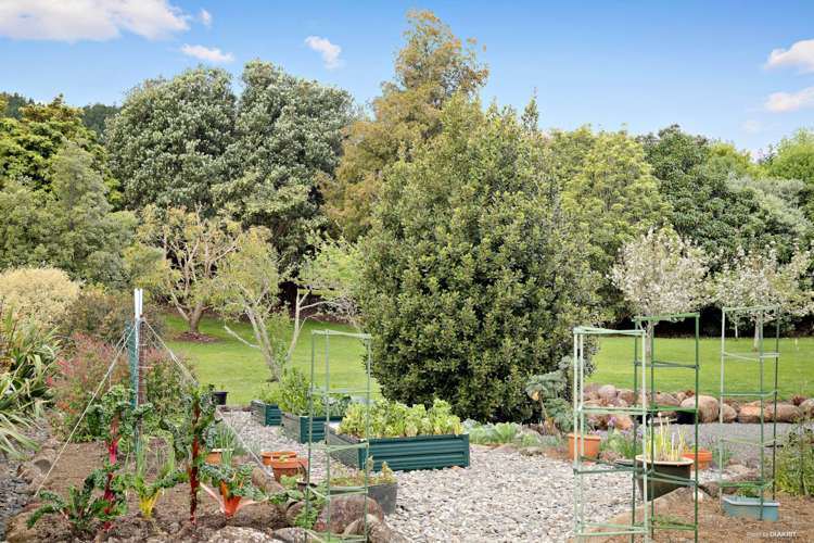 48 Macwhinney Drive Drury_17