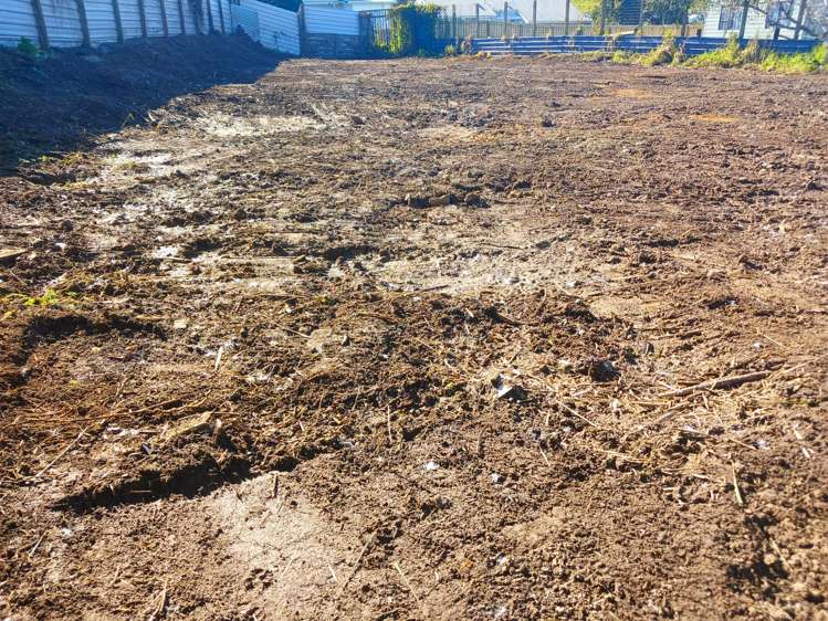 23a Parkdale Crescent_5