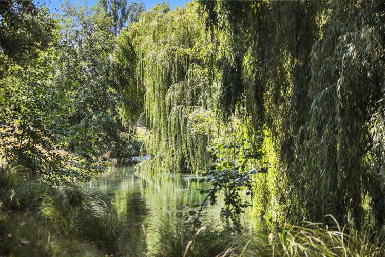 36 Hillocks Road Spring Creek_23